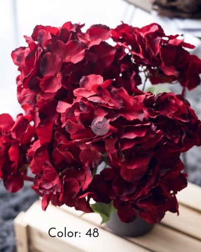 Hydrangea XWF9751 - Image 11