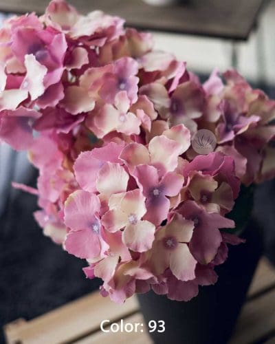 Hydrangea XWF9751 - Image 12
