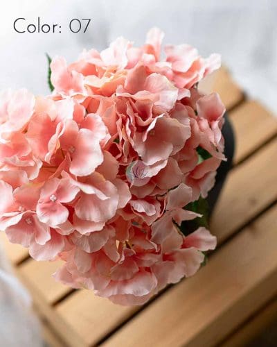 Hydrangea XWF9751 - Image 16