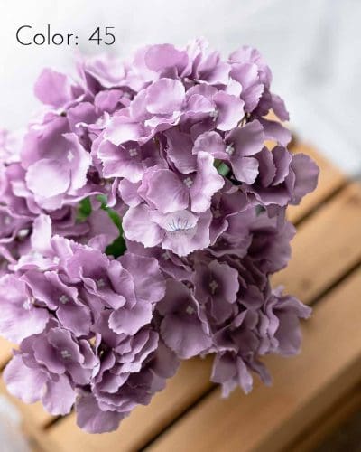 Hydrangea XWF9751 - Image 17
