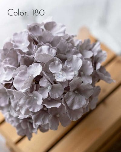 Hydrangea XWF9751 - Image 18