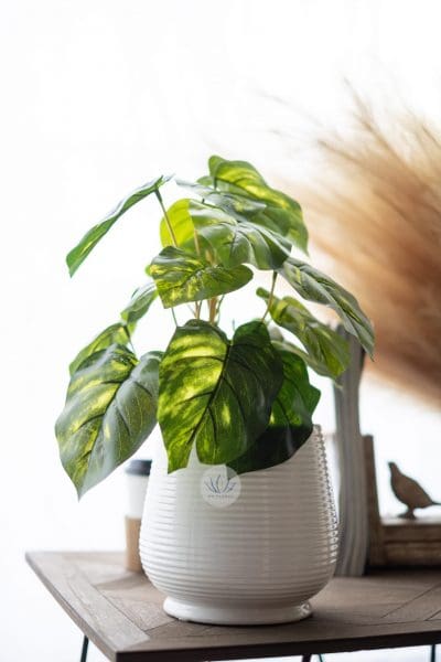 Ceramic White Vase W089B-01