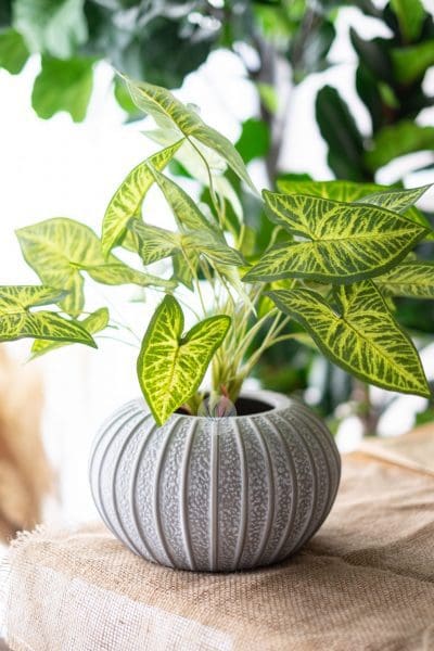 Ceramic Round Vase LWV335 (Large)