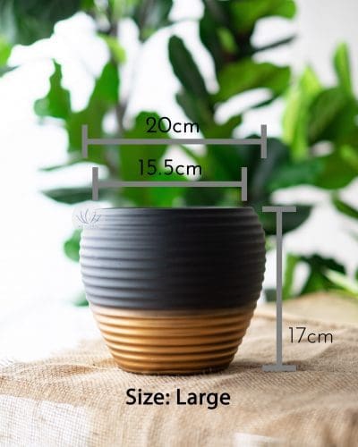 Black Gold Round Vase LWV339(L) LWV340(S) - Image 3