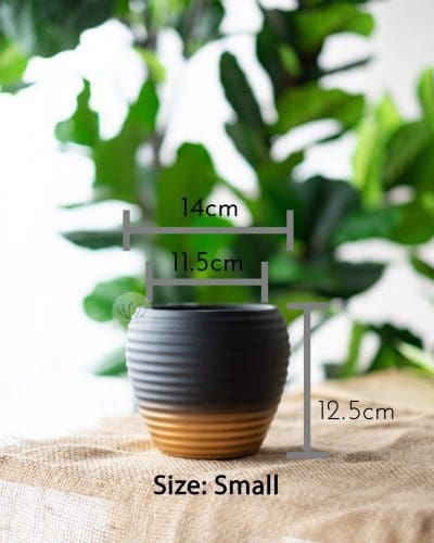 Black Gold Round Vase LWV339(L) LWV340(S) - Image 4