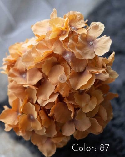 Hydrangea XWF9751 - Image 20