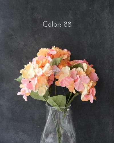 Hydrangea XWF9751 - Image 26