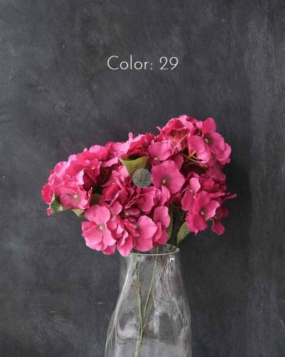 Hydrangea XWF9751 - Image 27
