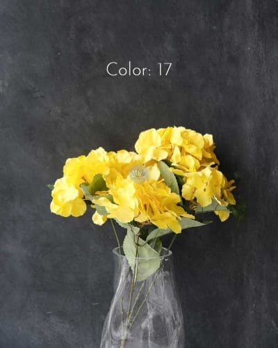 Hydrangea XWF9751 - Image 28