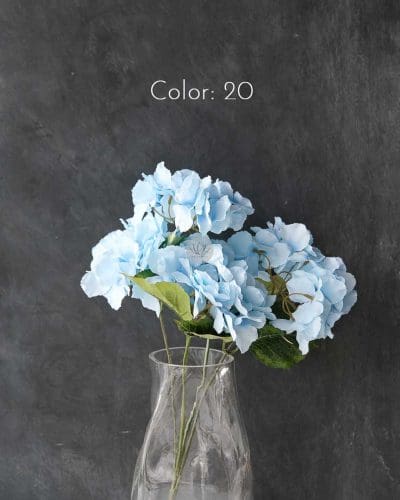 Hydrangea XWF9751 - Image 29