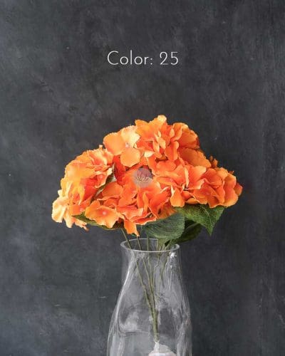 Hydrangea XWF9751 - Image 30