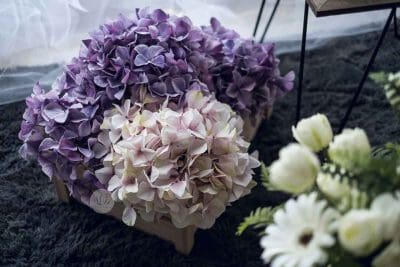 Hydrangea Head LCMHY033 - Image 4