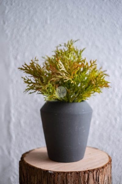 Antler Bush LWP7083