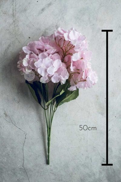 Hydrangea XWF9751 - Image 31