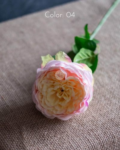 Austin Rose Spray BF311 - Image 3