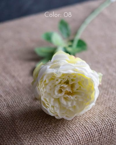 Austin Rose Spray BF311 - Image 5