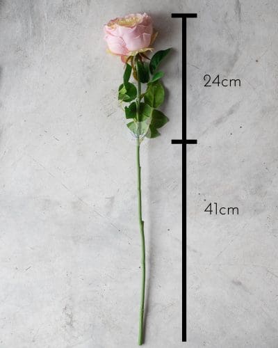 Austin Rose Spray BF311 - Image 6