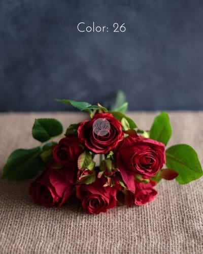 Germany Rose Bundle HR6816 - Image 3