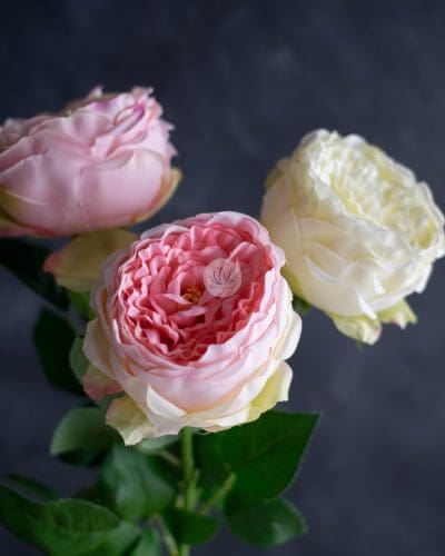 Austin Rose Spray BF311 - Image 2