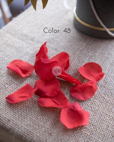 Flower Petals FR5041 - Image 2