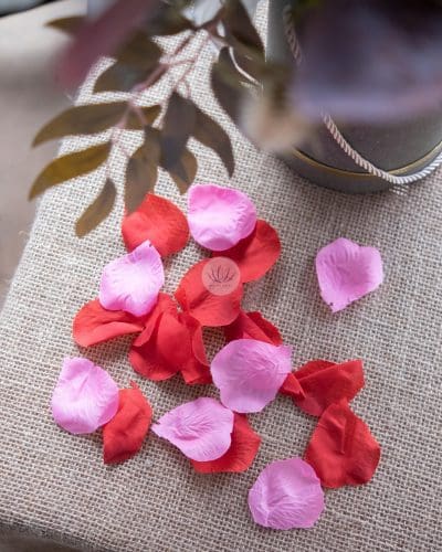 Flower Petals FR5041