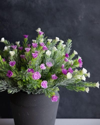 Rose Bud Bush LWP7105
