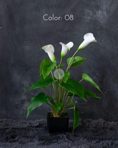 Cally Lily with Pot EL083F18LP - Image 6