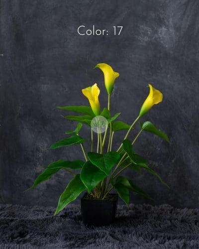 Cally Lily with Pot EL083F18LP - Image 5