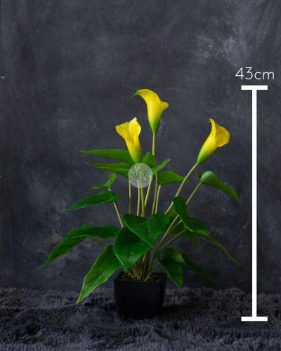 Cally Lily with Pot EL083F18LP - Image 10