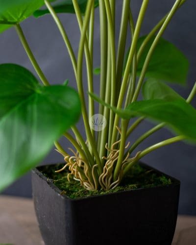 Cally Lily with Pot EL083F18LP - Image 3