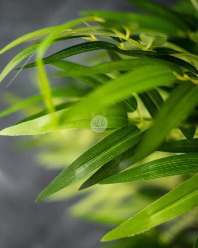 Bamboo Tree with Pot NAL190087 - Image 2