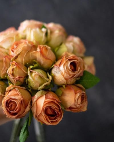 Rose Bundle BF328