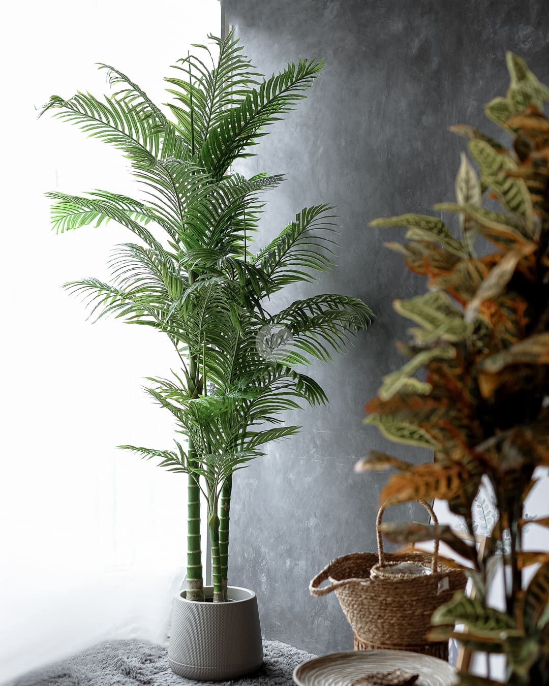 Palm Tree With Pot Lwp7246