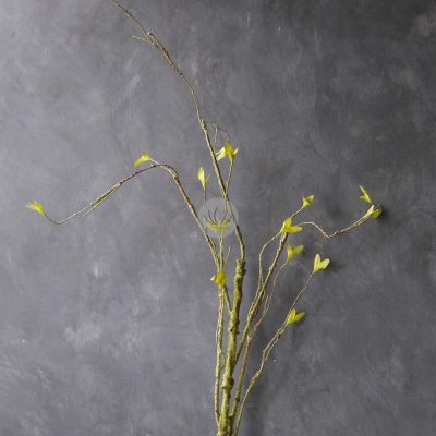 Branch with Moss Spray XF9823