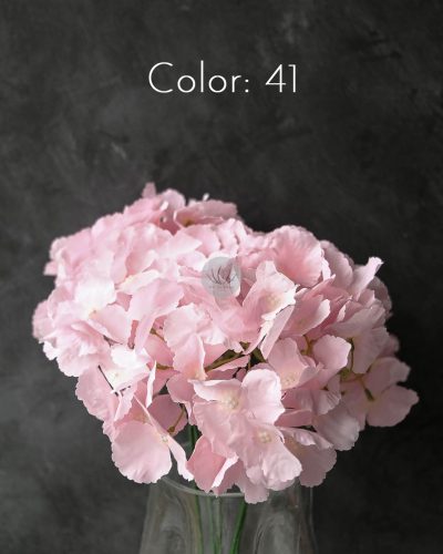 Hydrangea Bush XH9875 - Image 22