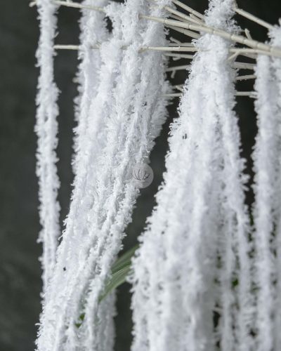 Amaranthus Spray XF9931-01 - Image 4