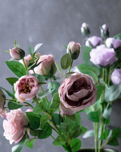 Austin Rose Spray XR9802 - Image 2