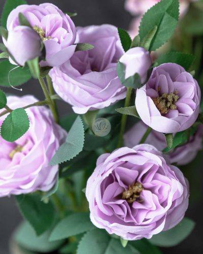 Austin Rose Spray XR9802 - Image 4