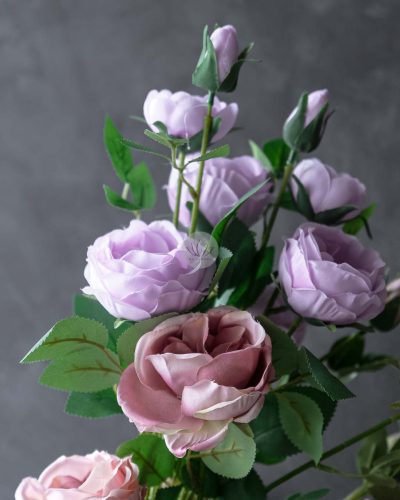 Austin Rose Spray XR9802 - Image 7