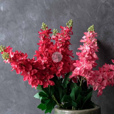 Matthiola Spray XF9918