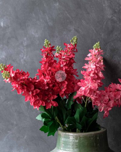 Matthiola Spray XF9918