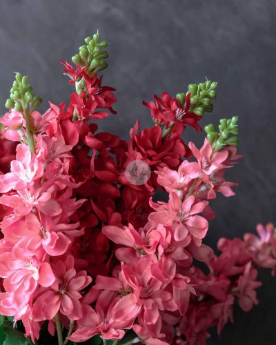 Matthiola Spray XF9918 - Image 3
