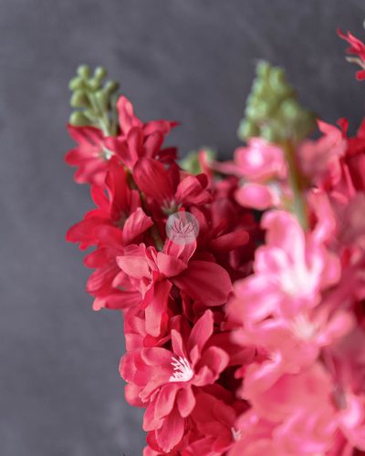 Matthiola Spray XF9918 - Image 5