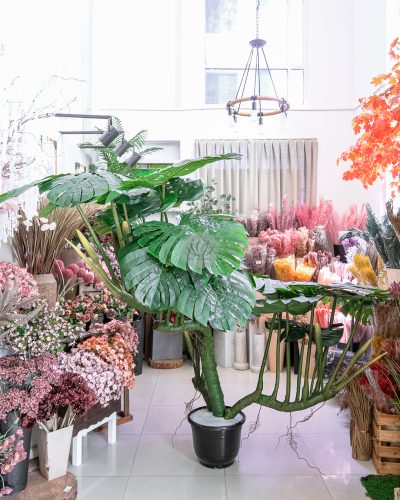 Monstera Deliciosa Fruit Salad PT6031