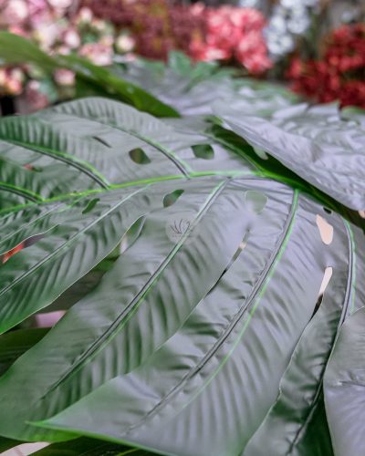 Monstera Deliciosa Fruit Salad PT6031 - Image 6