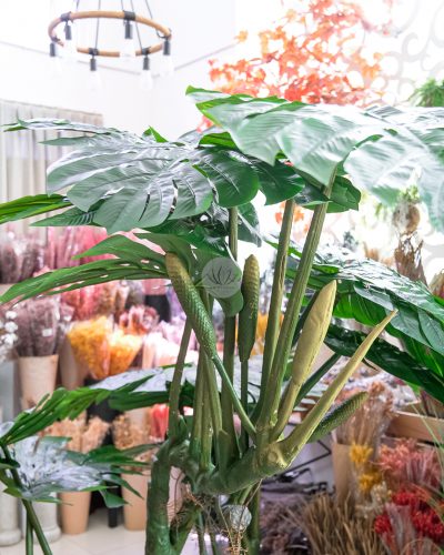 Monstera Deliciosa Fruit Salad PT6031 - Image 7