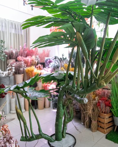 Monstera Deliciosa Fruit Salad PT6031 - Image 8