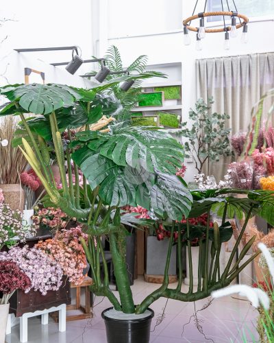 Monstera Deliciosa Fruit Salad PT6031 - Image 10