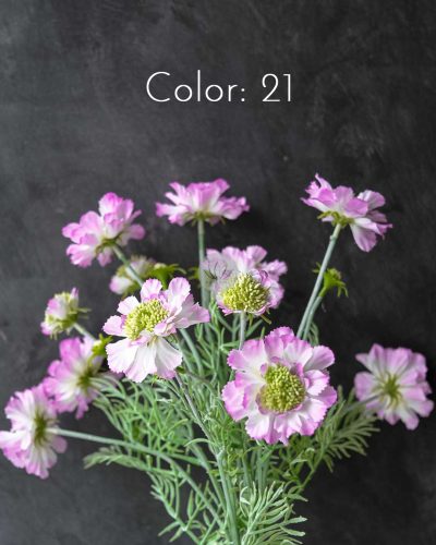Scabiosa Spray XF9945 - Image 9