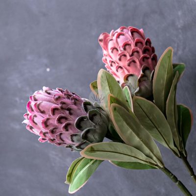 Protea Spray XF9908